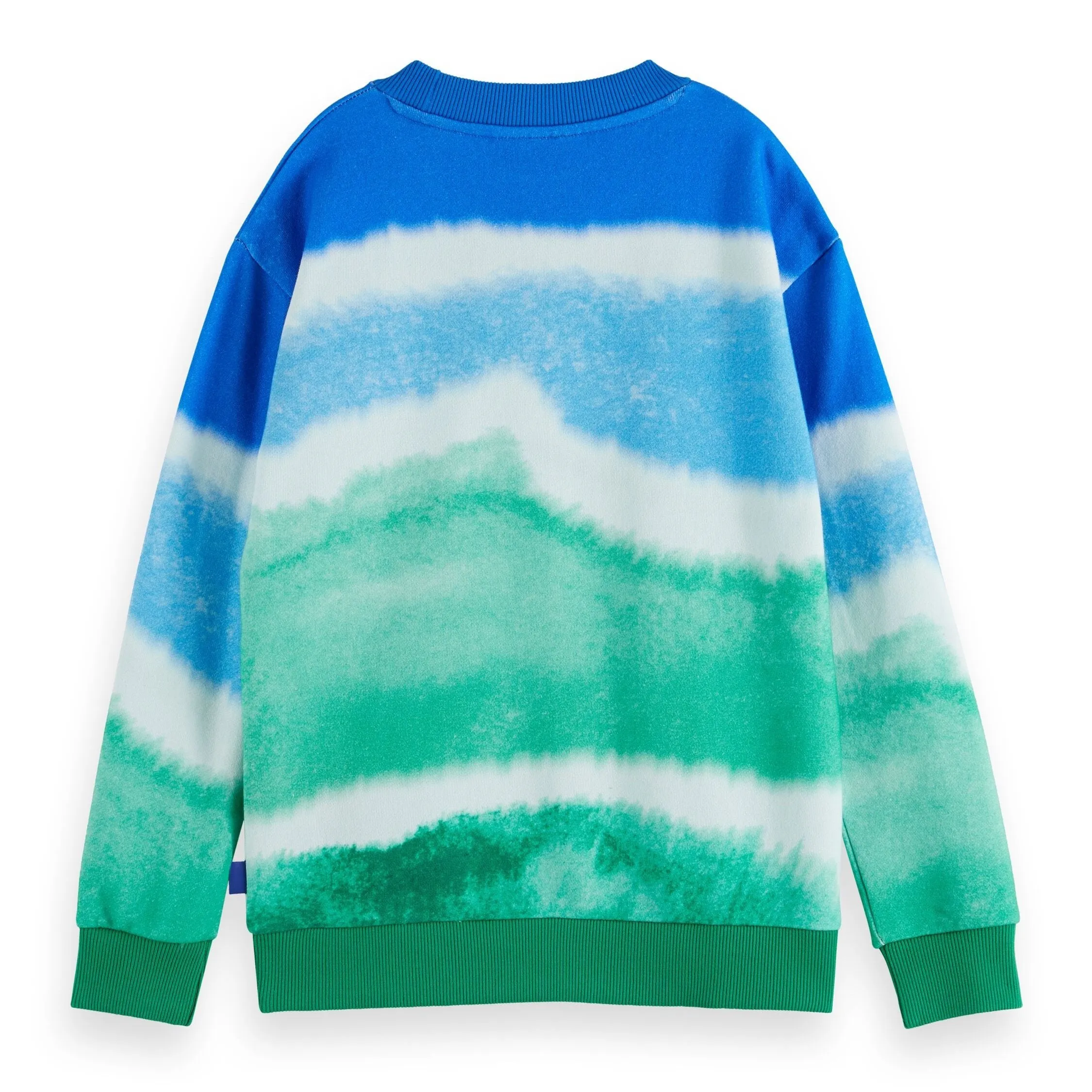 Scotch & Soda Boys Relaxed Fit Sweatshirt_ 176535