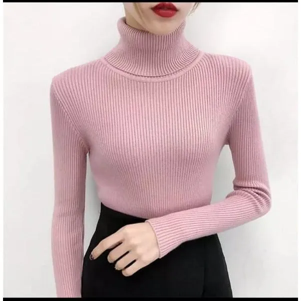 Turtleneck Sweater Polo Neck